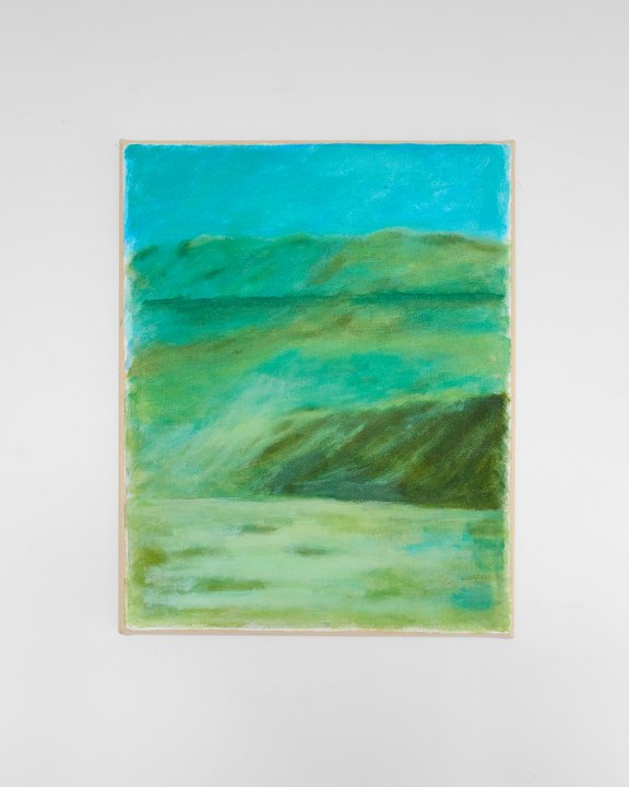 Tamen Perez, <em>Salsa Brava</em>, 2018, Acrylic on canvas, 50 x 40 cm HEFTI_DSF3902%20green%20v3%20web45_0